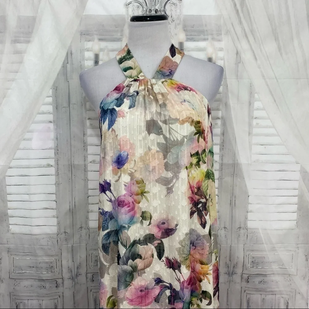 Alex Marie Ivory Pink Floral Long Maxi Sleeveless V Neck Halter Dress Easter NEW - Picture 5 of 11